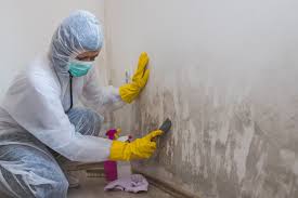 Best Asbestos and Lead Testing During Mold Inspection  in Grandyle Village, NY